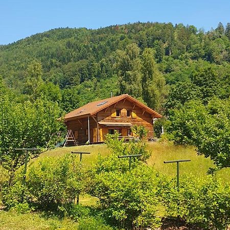 Chalet Des Charbonniers Avec Etang Saint-Maurice-sur-Moselle Buitenkant foto