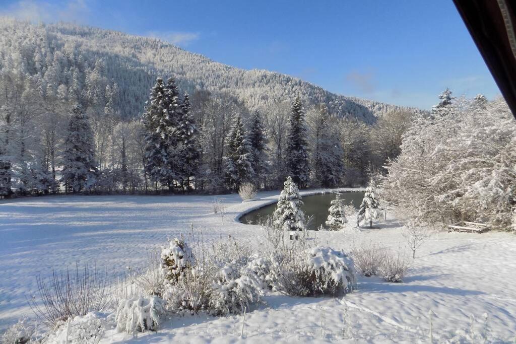 Chalet Des Charbonniers Avec Etang Saint-Maurice-sur-Moselle Buitenkant foto