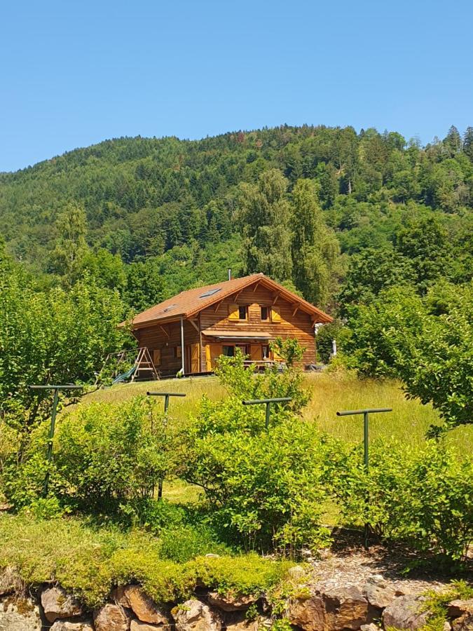 Chalet Des Charbonniers Avec Etang Saint-Maurice-sur-Moselle Buitenkant foto