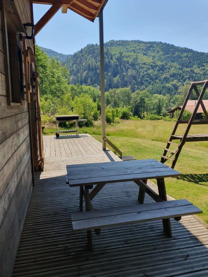 Chalet Des Charbonniers Avec Etang Saint-Maurice-sur-Moselle Buitenkant foto